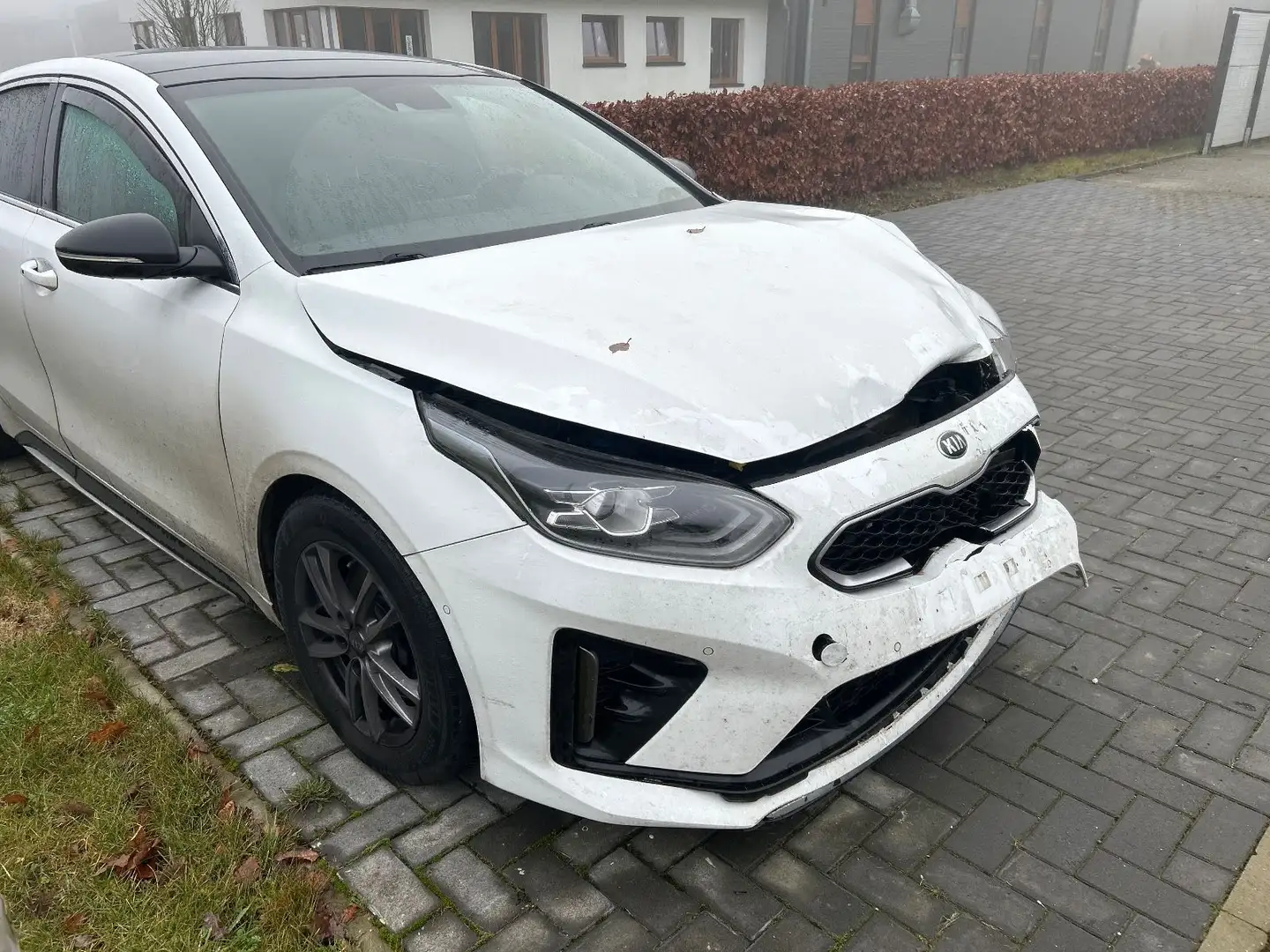 Kia ProCeed / pro_cee'd Blanc - 2