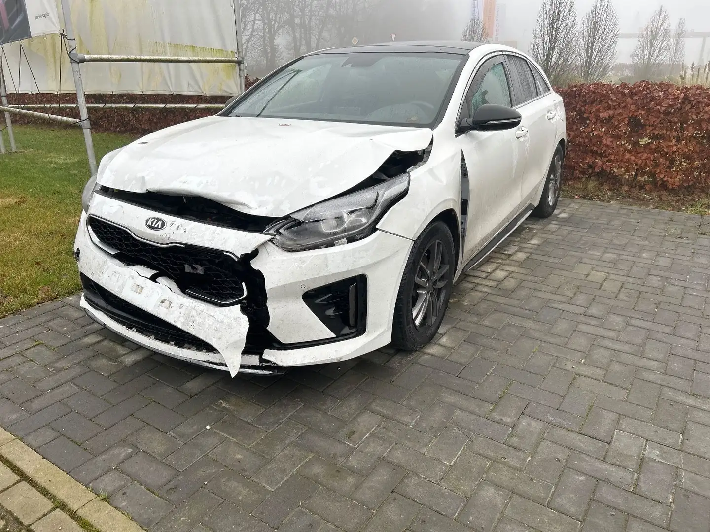 Kia ProCeed / pro_cee'd Blanc - 1