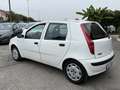 Fiat Punto Punto II 5p 1.2 Verve Noir - thumbnail 6