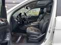Mercedes-Benz GL 350 d 4MATIC AMG-Line 2.HA/PANO/AHK/21LM Blanc - thumbnail 11
