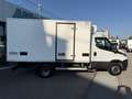 Iveco Daily 60C15FrigoFNAX-20°CATP12 274000x2105x1900kg2560 Blanco - thumbnail 4