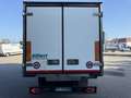 Iveco Daily 60C15FrigoFNAX-20°CATP12 274000x2105x1900kg2560 Blanco - thumbnail 6