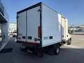 Iveco Daily 60C15FrigoFNAX-20°CATP12 274000x2105x1900kg2560 Blanco - thumbnail 5