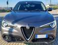 Alfa Romeo Stelvio 2.2 t Executive Q4 210cv auto Grigio - thumbnail 2