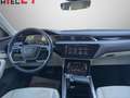 Audi e-tron 55 quattro 95kWh Advanced *EXPORT/HÄNDLER* Grau - thumbnail 19