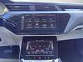 Audi e-tron 55 quattro 95kWh Advanced *EXPORT/HÄNDLER* Grau - thumbnail 25