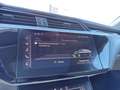 Audi e-tron 55 quattro 95kWh Advanced *EXPORT/HÄNDLER* Grau - thumbnail 30
