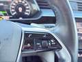 Audi e-tron 55 quattro 95kWh Advanced *EXPORT/HÄNDLER* Grau - thumbnail 22
