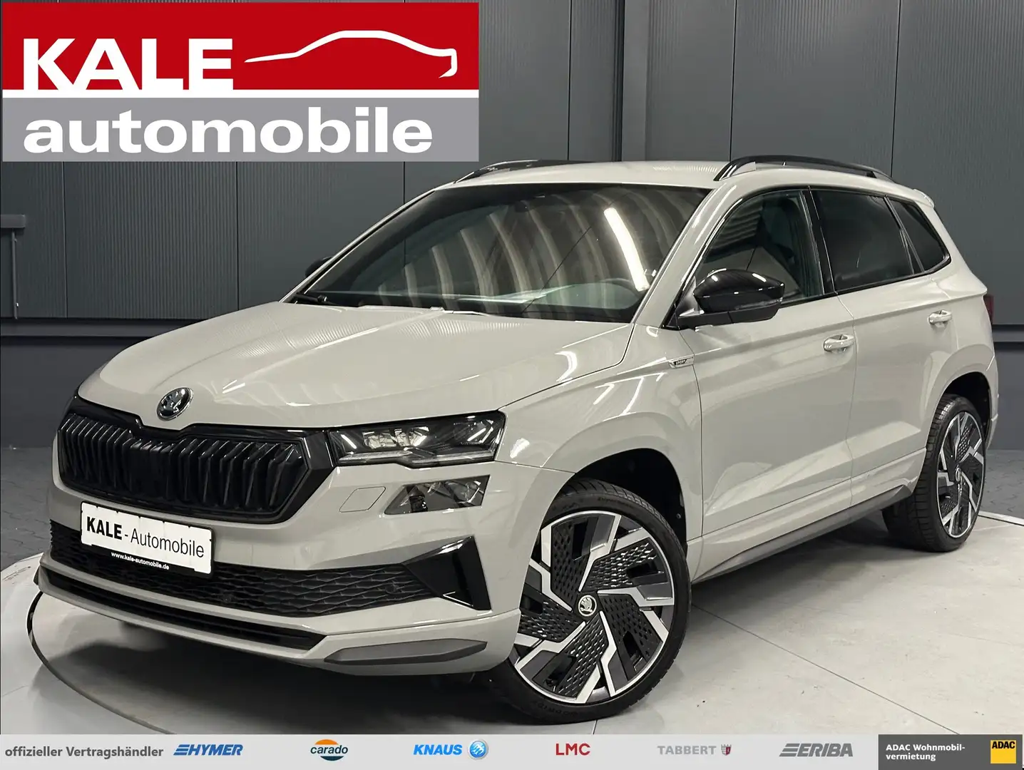 Skoda Karoq 1.5 TSI DSG Sportline*19Zoll*Sportsitze*KAMERA*ACC Серый - 1