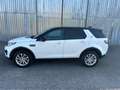 Land Rover Discovery Sport Discovery Sport 2.0 TD4 150 CV Auto Business Ed. P Bianco - thumbnail 4