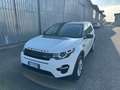 Land Rover Discovery Sport Discovery Sport 2.0 TD4 150 CV Auto Business Ed. P Bianco - thumbnail 3