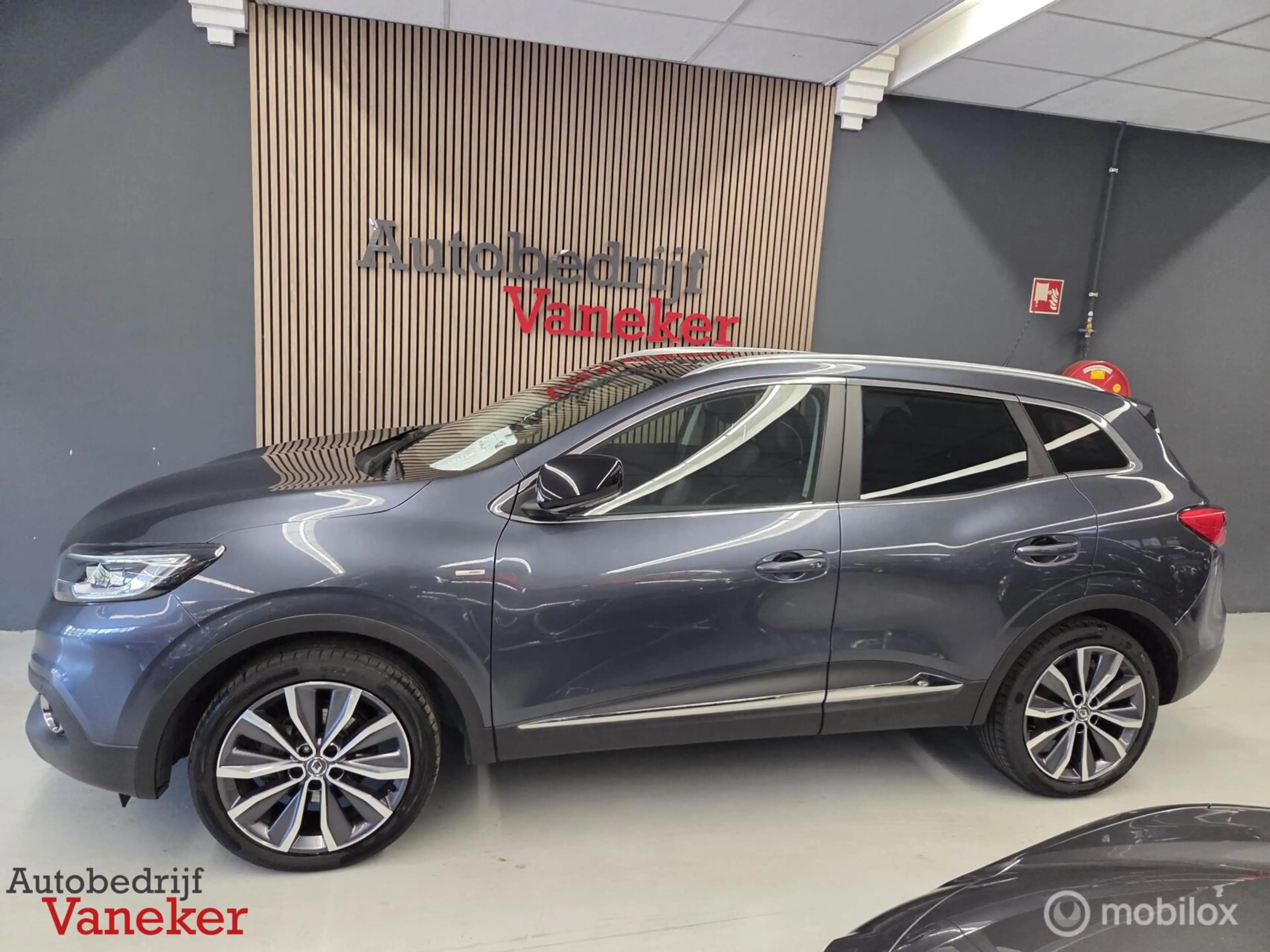 Renault Kadjar 1.2 TCe Bose | Panorama | CarPlay | Winterset — photo 6