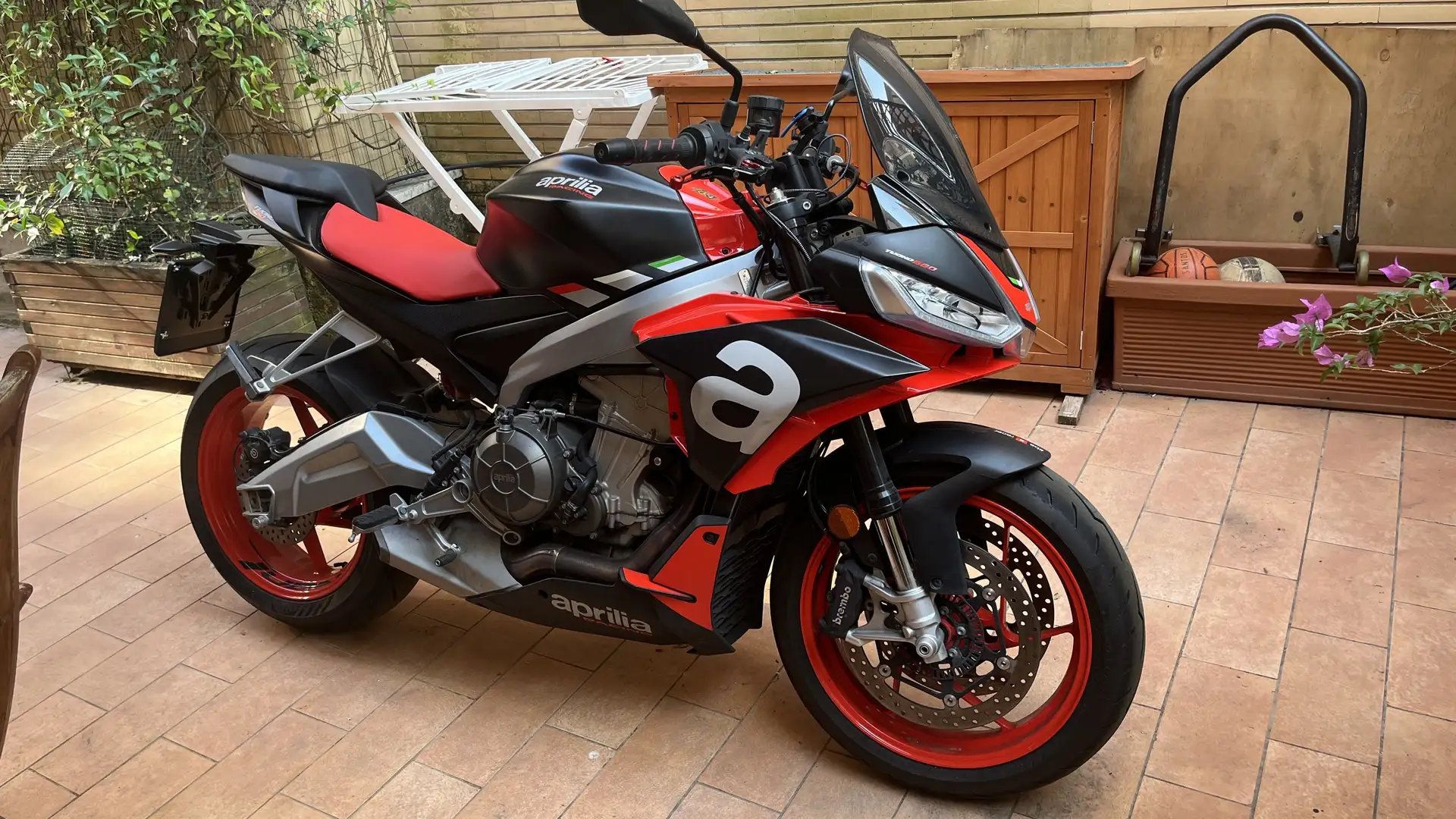 Aprilia Tuono 660 - 2