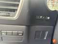 Lexus NX 300h 2.5 Business 2WD Blanco - thumbnail 20