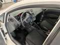 SEAT Ibiza Ibiza FR 1.2 tdi Bianco - thumbnail 8