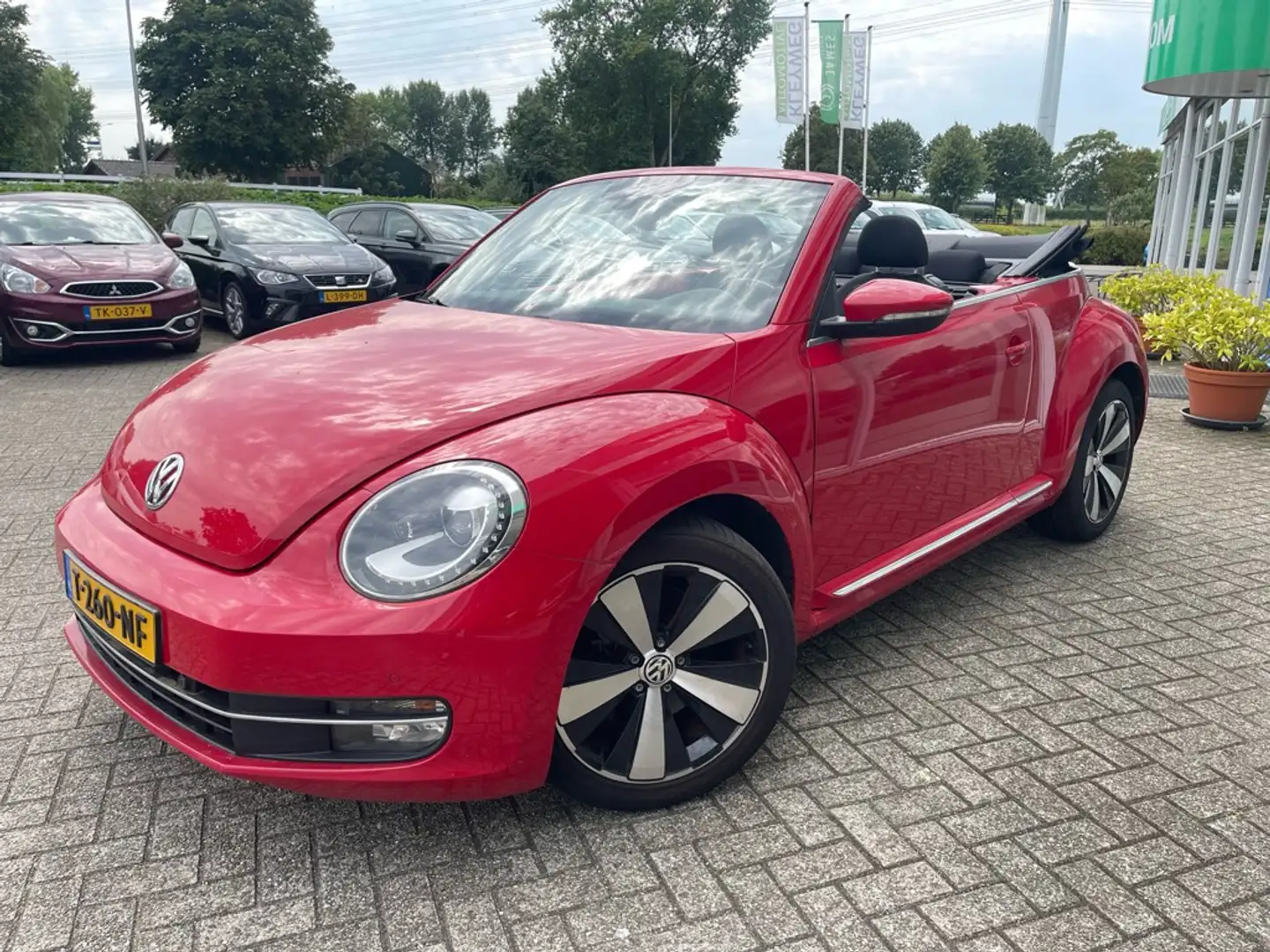 Volkswagen Beetle Cabriolet 1.4 TSI 160pk Sport, Nav, PDC, Stoelverw Rood - 1