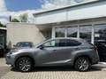 Lexus NX 300h 197PK AWD F Sport Line SUNROOF+TREKH+VOLLEDER Gris - thumbnail 4