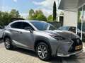 Lexus NX 300h 197PK AWD F Sport Line SUNROOF+TREKH+VOLLEDER Gris - thumbnail 19