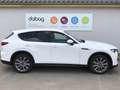 Mazda 121 AWD PHEV Aut. EXCLUSIVE-LINE Navi Bose 360°Kamera Blanc - thumbnail 11