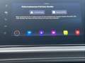 SEAT Ibiza 1.0 TSI DSG Xcellence Navi, LED, Winter-Pa Blau - thumbnail 17