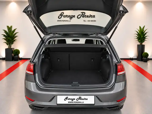 Volkswagen Golf view 6
