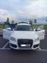 Audi Q5 2.0TDI quattro Advance S-Tronic 177 - thumbnail 1