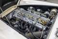 Aston Martin DB DB4 Beige - thumbnail 15