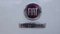 Fiat Fiorino (Stock ID 38543) Blanco - thumbnail 20