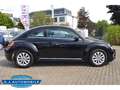 Volkswagen Beetle Design BMT 1.2 TSI Start-Stopp 1 Hd,TOP Negro - thumbnail 4
