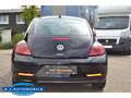 Volkswagen Beetle Design BMT 1.2 TSI Start-Stopp 1 Hd,TOP Negro - thumbnail 7