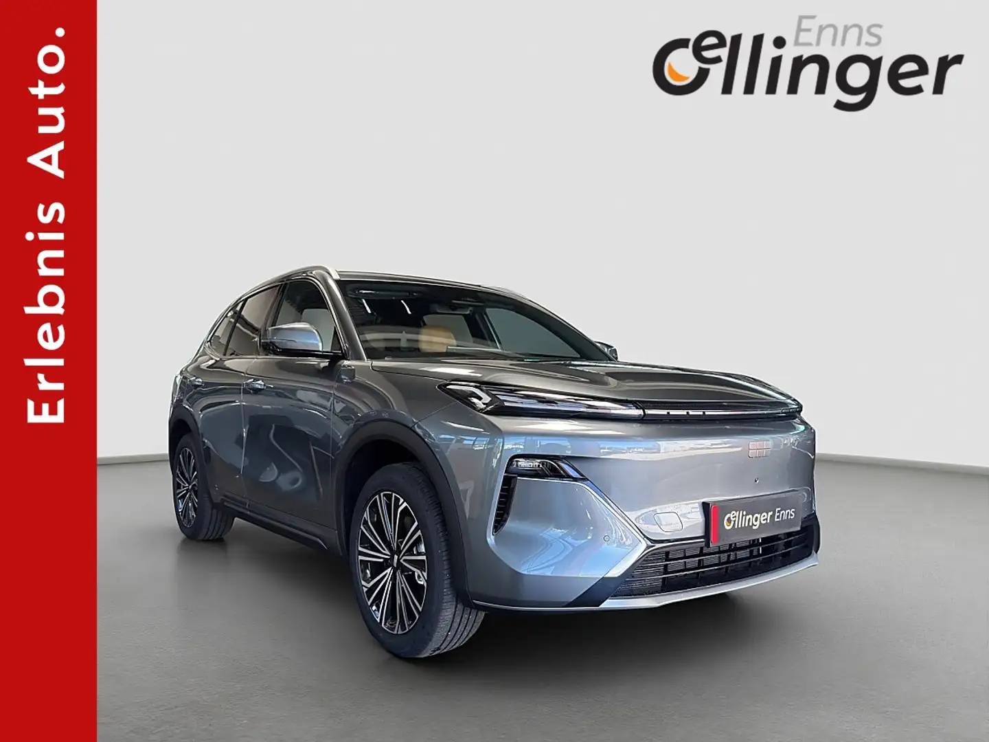 Geely Sonstige Max+ Grau - 1