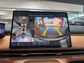 Geely Sonstige Max+ Grau - thumbnail 14