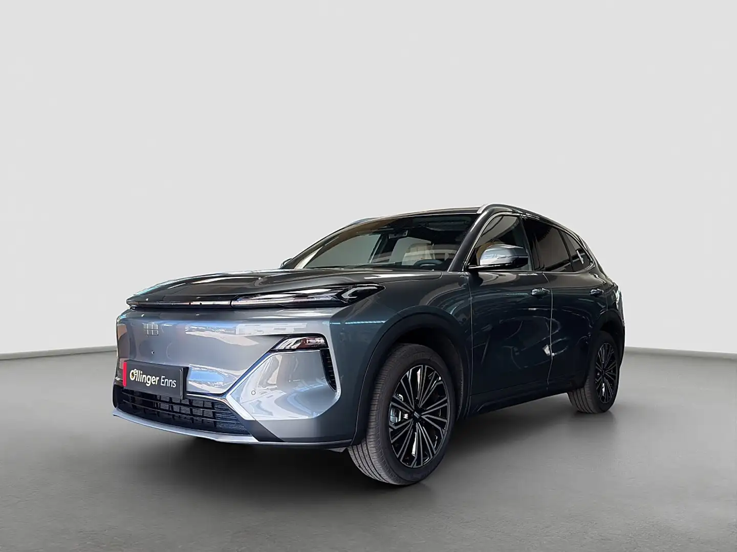 Geely Sonstige Max+ Grau - 2