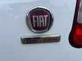 Fiat Doblo 1.5 BlueHDi   EHZ Autm. Weiß - thumbnail 19