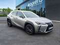 Lexus UX 250h 2.0 Business Blanco - thumbnail 3