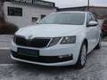 Skoda Octavia Combi Clever*Navi*Nr.78 Weiß - thumbnail 1