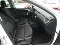 Skoda Octavia Combi Clever*Navi*Nr.78 Weiß - thumbnail 18