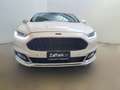 Ford Mondeo Hybrid 2.0 187 CV eCVT 4 porte VIGNALE AUTOMATICA Bianco - thumbnail 3