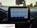 Ford Fiesta 1.0 Ecoboost Hybrid 125 CV 5 porte Titanium Gris - thumbnail 13