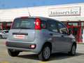 Fiat Panda 1.2 benzina Easy 5posti Grigio - thumbnail 4