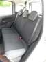 Fiat Panda 1.2 benzina Easy 5posti Grigio - thumbnail 7