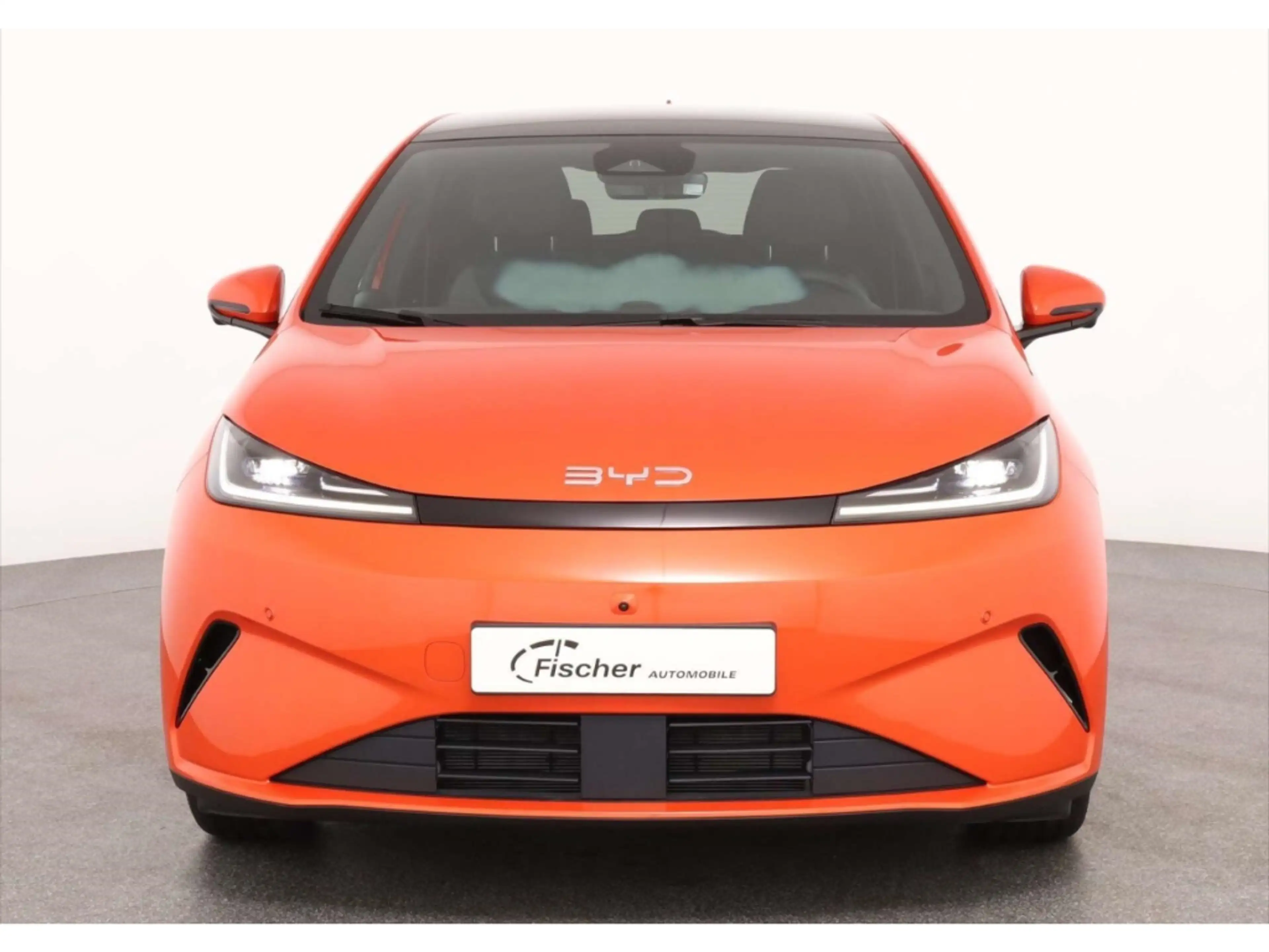 BYD Dolphin G DM-i Comfort — photo 3