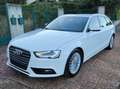 Audi A4 A4 Avant 3.0TDI DPF Multitronic 204 Blanco - thumbnail 2
