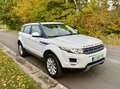 Land Rover Range Rover Evoque 2.2 TD4 # boîte automatique # Toit pano # Euro5B Blanc - thumbnail 2