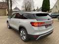 Skoda Kodiaq 2.0TDI 4x4 Selection Navi AHK Panorama 19 Grau - thumbnail 4