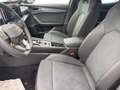 CUPRA Formentor 2.0 TSI DSG VZ DCC AHK*PANO*MATRIX*VIRTUAL*SHZ*... Grigio - thumbnail 12