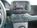 Fiat Panda Pandina III 2024  1.0 firefly hybrid s&s 70 cv Blu/Azzurro - thumbnail 11