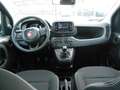 Fiat Panda Pandina III 2024  1.0 firefly hybrid s&s 70 cv Blu/Azzurro - thumbnail 10