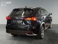 Lexus NX 300 h Executive 4x4 +Vollleder+Pano+Navi+CarPla Negru - thumbnail 4