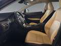 Lexus NX 300 h Executive 4x4 +Vollleder+Pano+Navi+CarPla Schwarz - thumbnail 10
